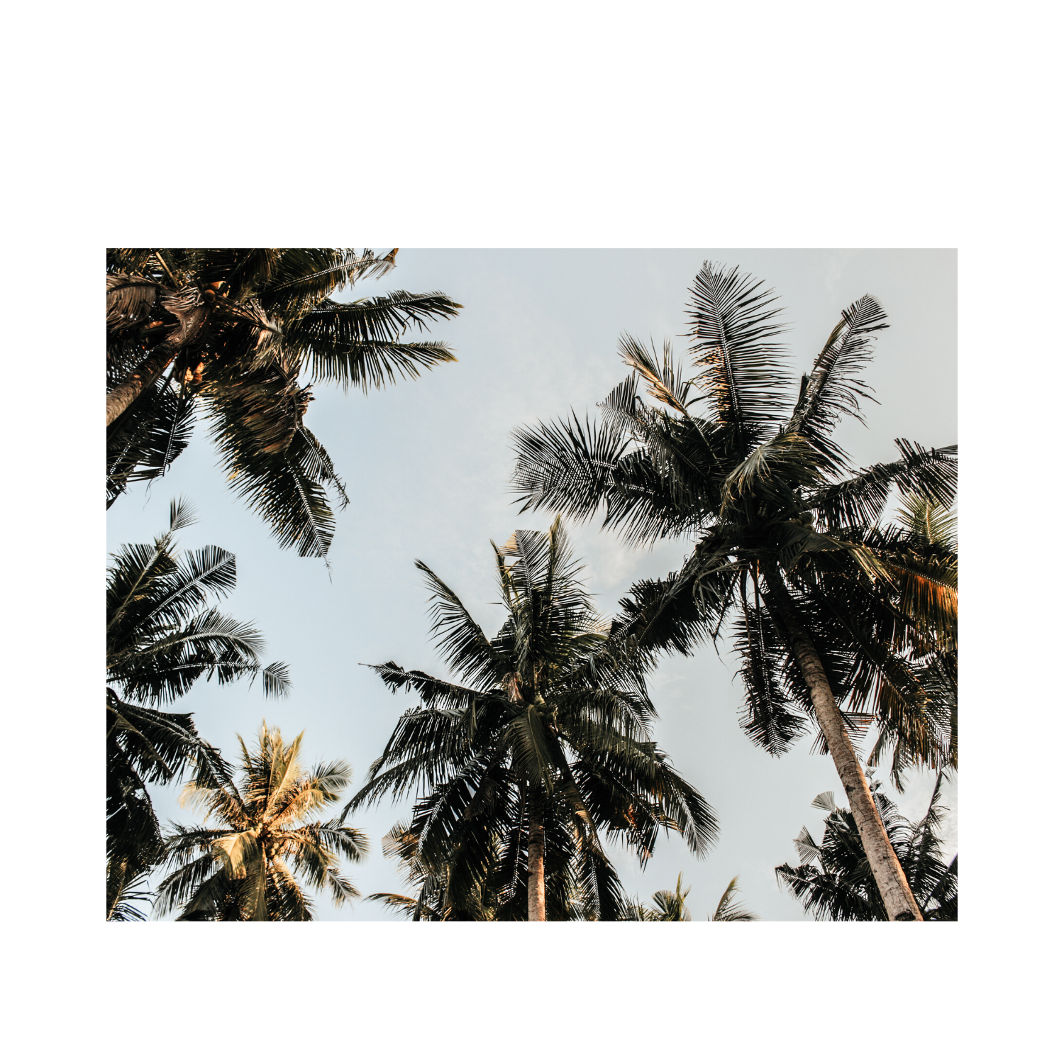 Agbosu Alfred News Blog